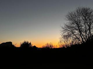 Rusplaas Guest Farm - 1