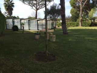Vilamoura Villa Alegria - Vilamoura - 8