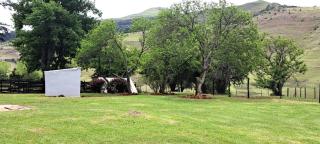 KASP Cottage - Underberg - 1