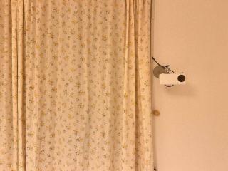 Anri forest #long stay#5people #front yard#laundry - Busan - 1