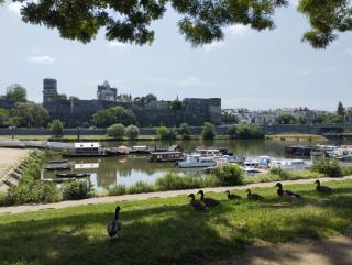 La Toue Charme - Angers - 9