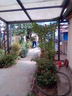 Home in flowers - Belgrado - 8
