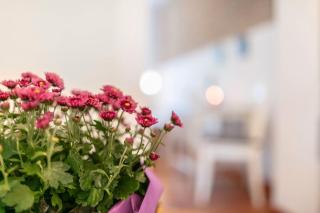 Kleine Fewo im Herzen Templins - 1