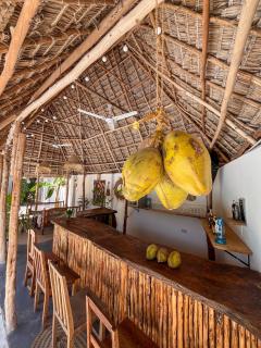 Tribe Bungalows, Bwejuu, Zanzibar - Bwejuu - 6