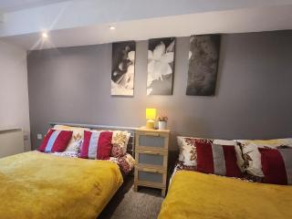 Luxury 2 Bed Apt On River, WiFi, Parking, Garden - 9