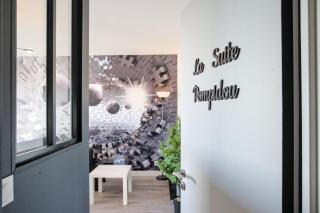 Suite Pompidou, vue artistique - Metz - 6