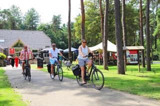 Camping Kempen - Lichtaart - 3