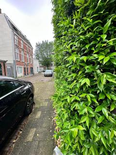 Terraced double bed room - Utrecht - 1