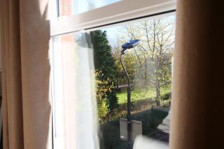 Park View - York - 3