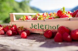 Jelerhof - Gsies - 3