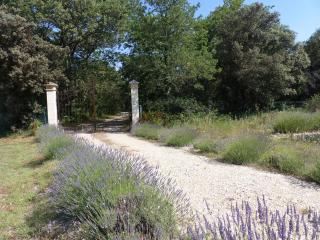 BASTIDE Neissoun - 7