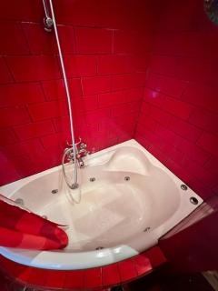 Terraced double bed room - Utrecht - 5