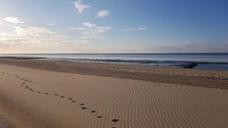 Residenz Oasis - Cuxhaven - 8