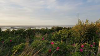 Residenz Oasis - Cuxhaven - 6