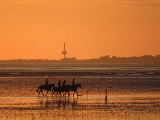 Residenz Oasis - Cuxhaven - 1