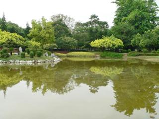 Big Tree Boutique - 1