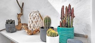 Ferienwohnung Lugar Con Alma, Tarajalejo, Balkon, Strandnah, WiFi - Tarajalejo - 7