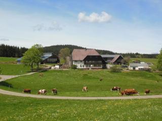 Zuckerbauernhof-Ferien in der Natur - Sankt Georgen - 5