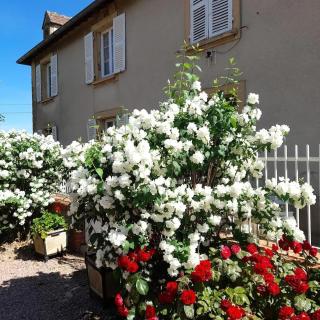 Maison conviviale avec jardin à Vauban, 4 chambres - Vauban - 9