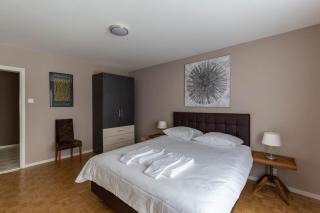Fantastic 1 BR flat, city center, near lake - SF15 - Zurich - 0