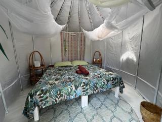 NamKhan Horses Stables - 3