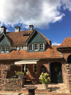 Wildblick Appartment Hof Grindelborn - Mürlenbach - 8
