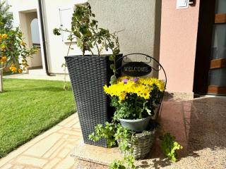 NellaToni Apartments - Medulin (Medolino) - 6