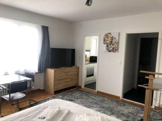 Bright and quiet studio in the city center - Sky1 - Zurigo - 7