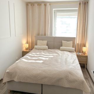 Biszkoptowy Apartament - Gliwice - 8