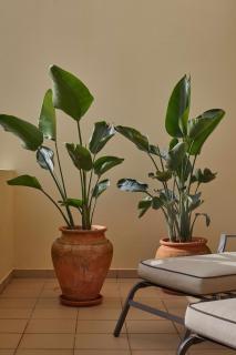 Casa Terra with Pool & Free WiFi - Albufeira - 1