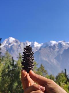 Whistling Pines Homestay - Kalpa - 2