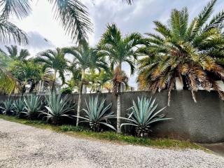 Villa Carocanne - Grande Gaube - 7