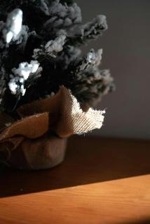 Argualas - Triplex con piscina - By CARDI Suites - 4