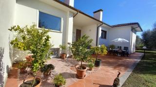 Casa nell'uliveto - 9