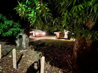 Eco Casa Mango Lepanto #10 - 7