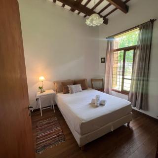 Casa Raíz - Coliving - 6