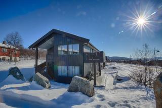 A Family-Friendly, Pet-Friendly Getaway in Beitostølen Center - Beitostøl - 9
