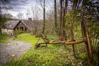 Ceridwen Holiday Homes - Llandysul - 8