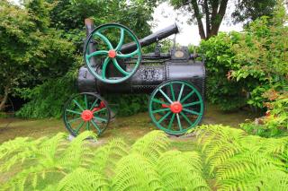 Cabañas de Turismo Araucarias del Sur - 5