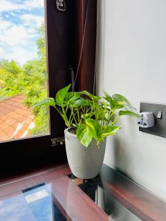 Coastal Hideaway - 6