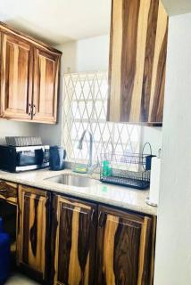 Blue Laventura condo near HWT - Kingston - 8