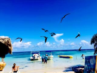 Day Pass Todo Incluido El Faro Beach Club & Restaurant Solo Experiencia no incluye alojamiento - 85 USD por persona - Mahahual - 3