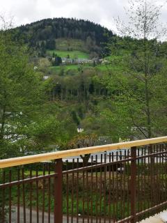chalet l'échappée belle - Murat-le-Quaire - 3