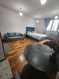 Central sweet apartment self check-in - Timişoara - 0