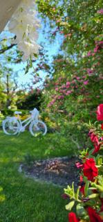 Victoria Sale Bankietowe - 4