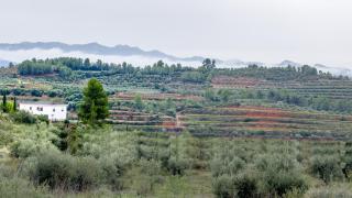 La Maysou - Masroig - 8