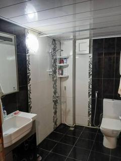 Lake View Apartment - Baku - 4