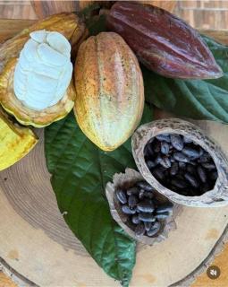 Río Celeste, Cacahua Lodge - 6