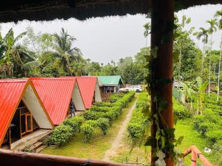 Changmai's Inn - Kāziranga - 9