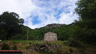 Les chambres du Ray-Pic - Péreyres - 0